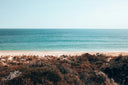A scenic beach landscape with turquoise ocean water, pale sand, and brown beach grasses in the foreground under a clear light blue sky.